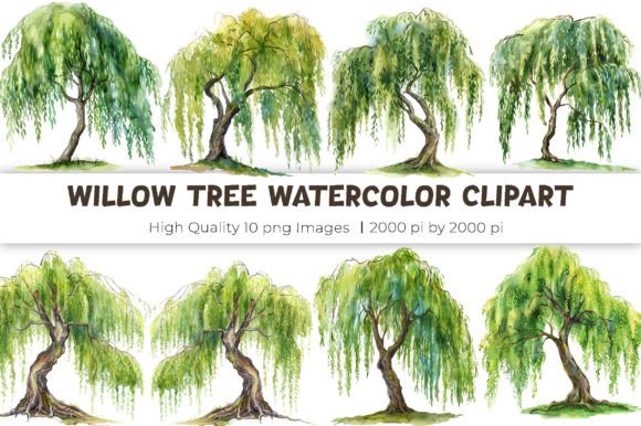 Download Willow Tree Watercolor Clipart - Tree Collection