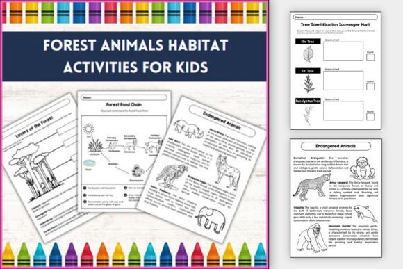 Download Forest Animal Habitat Activitiy for Kids - Animal Collection
